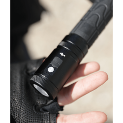 Module lampe pour bâton télescopique 580