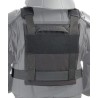 Ballistic Plate Carrier