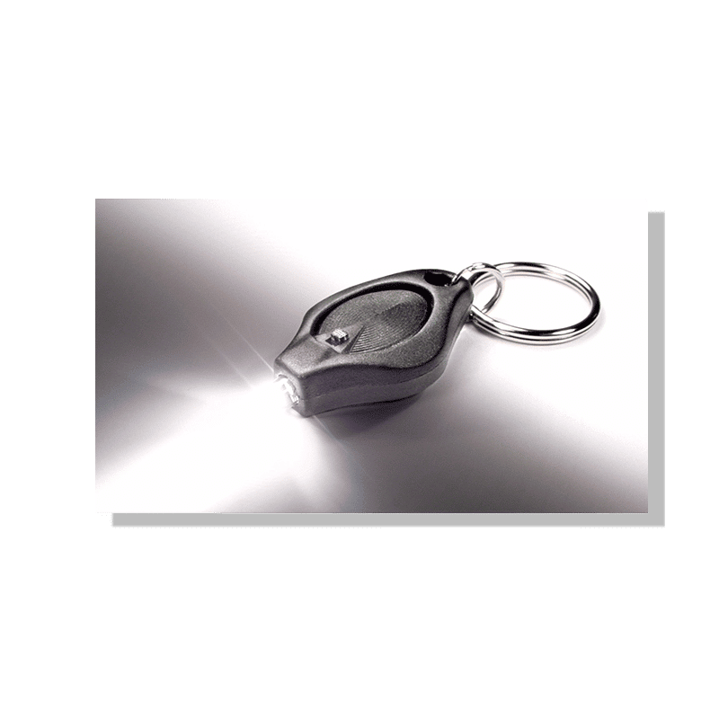 Porte clefs microlight