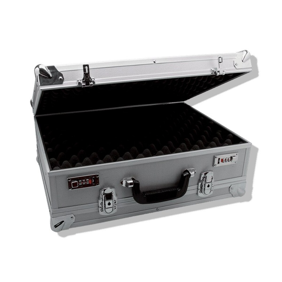 Double Handgun Case