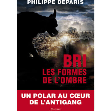 Livre BRI les formes de l'ombre